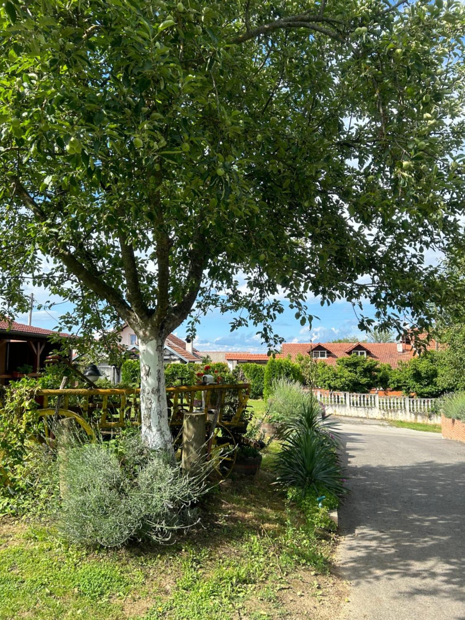 Camping Lukac Kutina Exterior photo